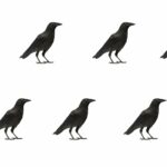 7 crows meaning spiritual