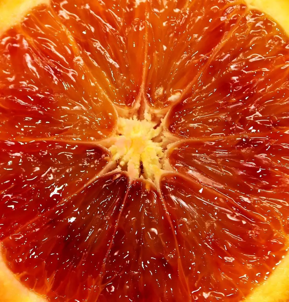 blood orange, fruit, citrus fruits