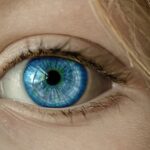 eye, blue eye, iris